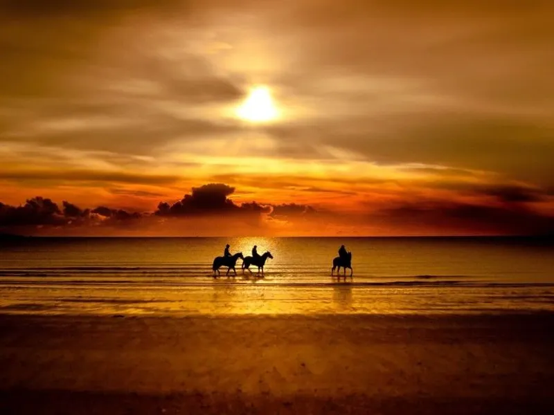 Private Sunset Horseback Ride Seseh Beach Bali — riders on black sand shore at golden hour