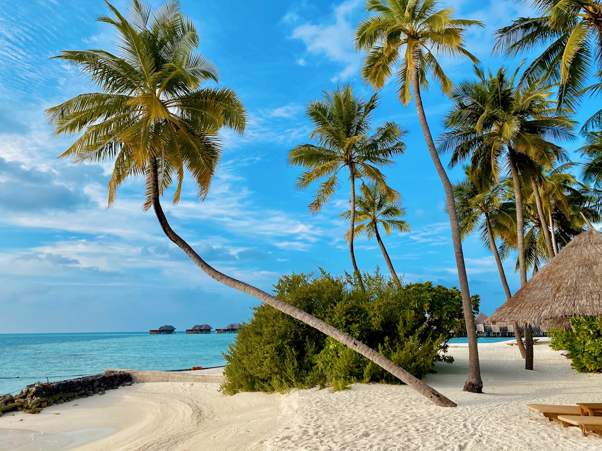 Seychelles, Seychelles