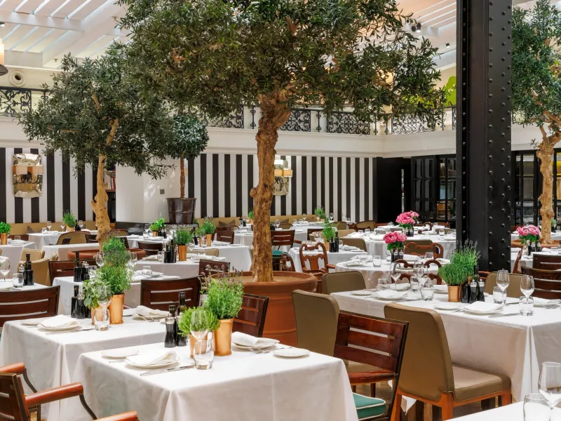 Novikov Restaurant London — dramatic Mayfair dining room with Asian and Italian menus